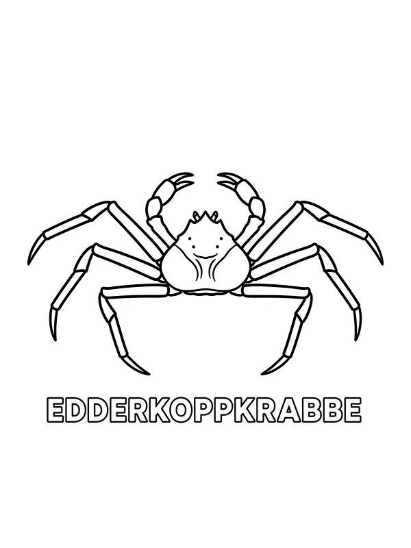 Edderkoppkrabbe med seks bein, underkategori