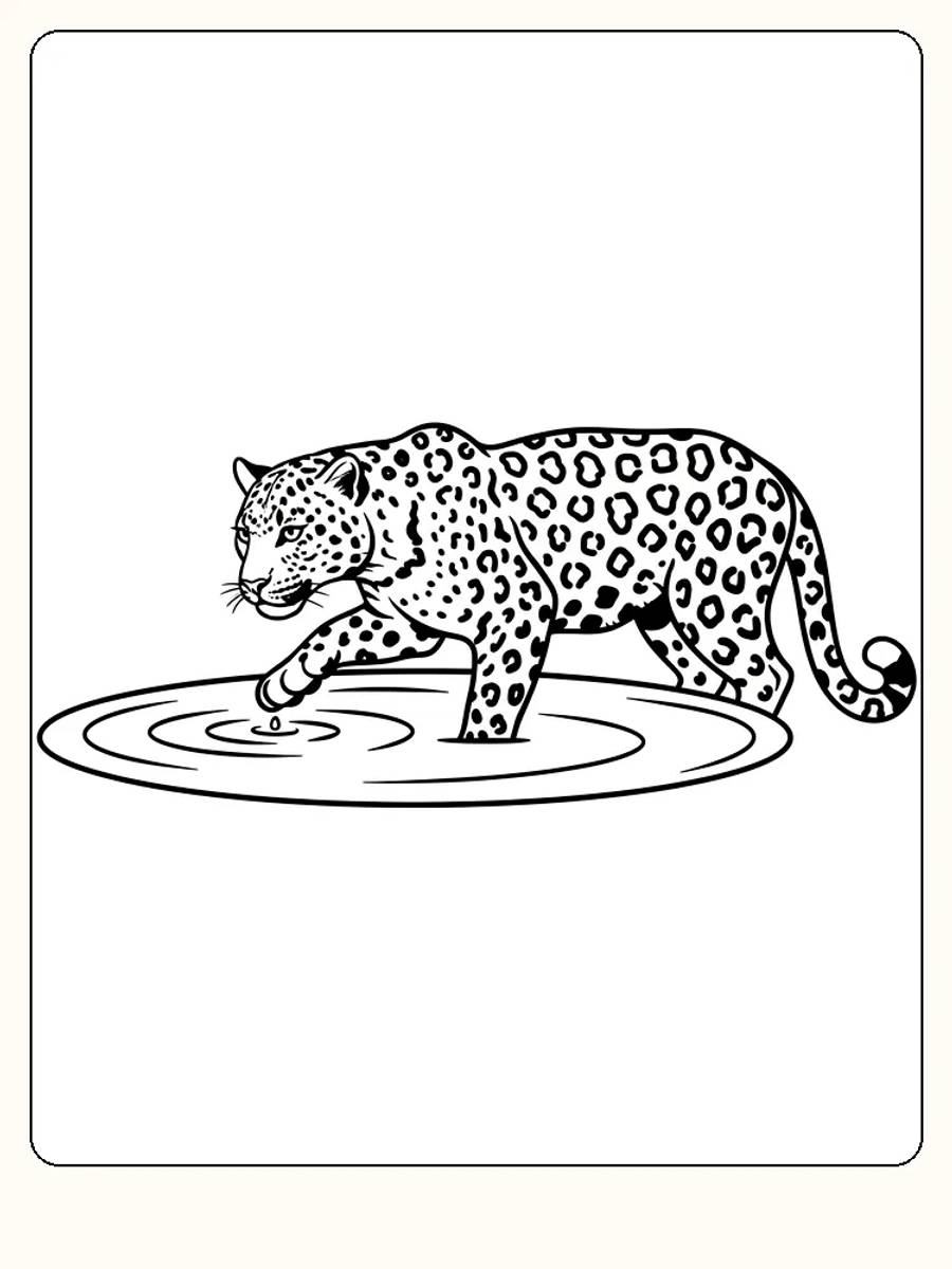 Fargeleggingstegning av leopard som vasser i vann, klar for nedlasting