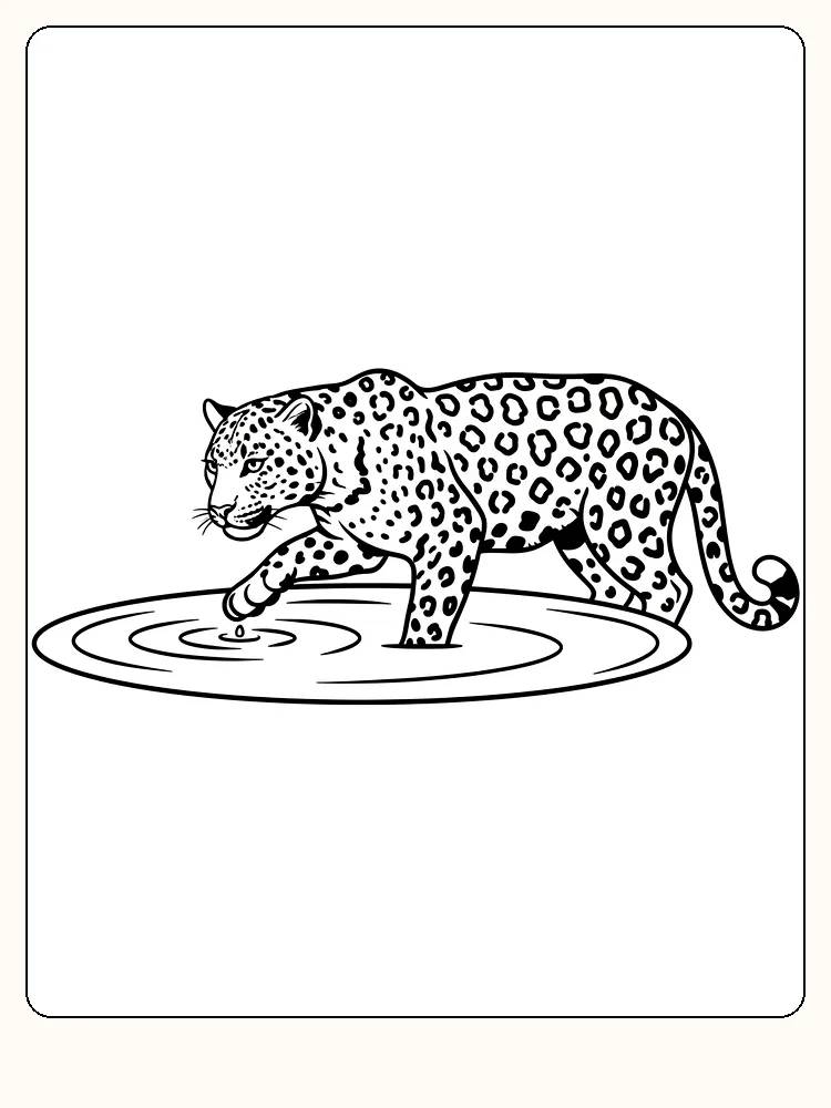 Fargeleggingstegning av leopard som vasser i vann, klar for nedlasting