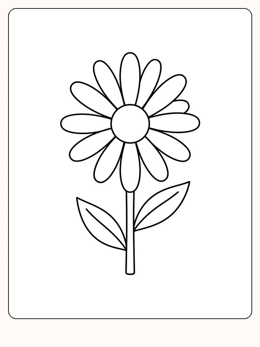 Prestekrageblomst sett forfra med en krans av lange kronblader, rund midte, rett stilk og to spisse blader