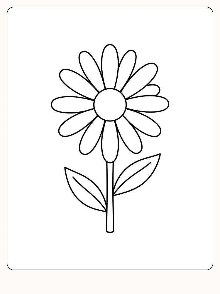 Prestekrageblomst sett forfra med en krans av lange kronblader, rund midte, rett stilk og to spisse blader