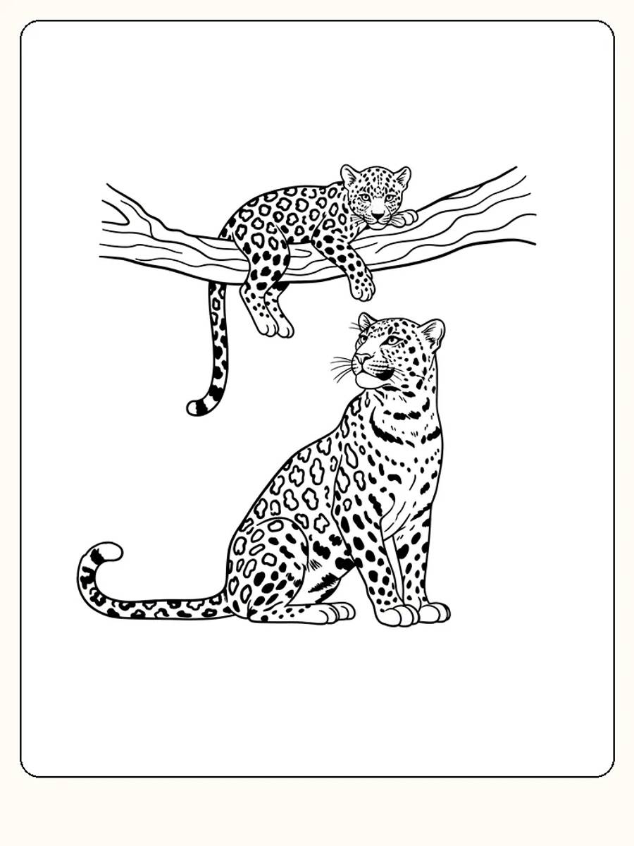 Fargeleggingstegning av leopardmor og unge på en gren, klar for utskrift