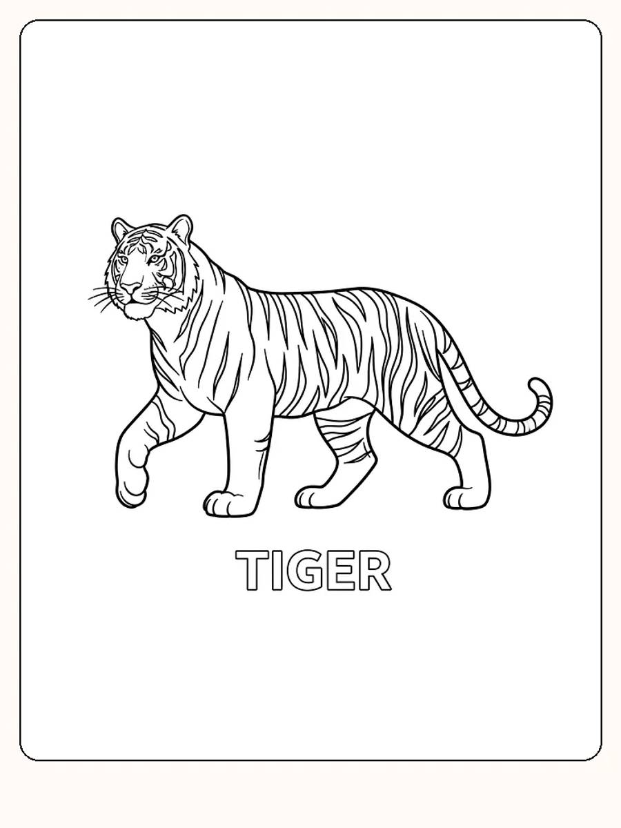 Tegning til farvelægning af en stående tiger i profil, klar til print