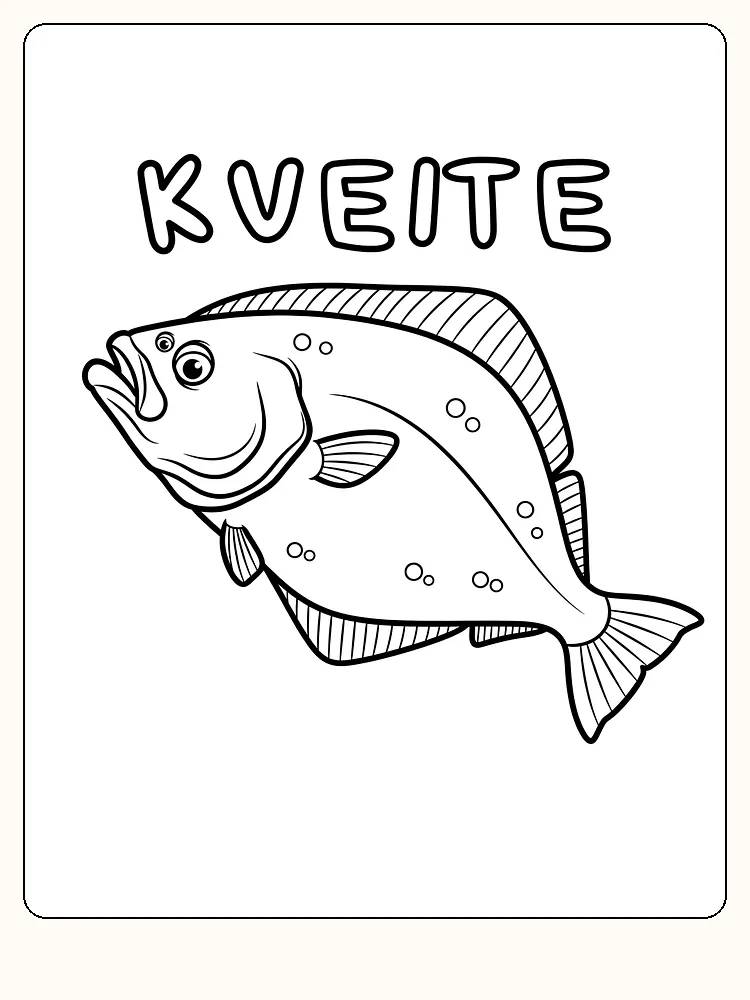 Fargeleggingstegning av en kveite med navnet tydelig over