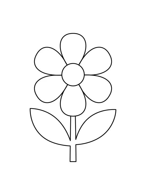 Blåveisblomst med seks kronblad og to blader