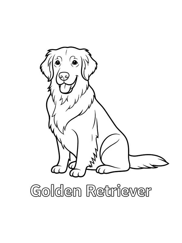 Golden Retriever hund, underkategori