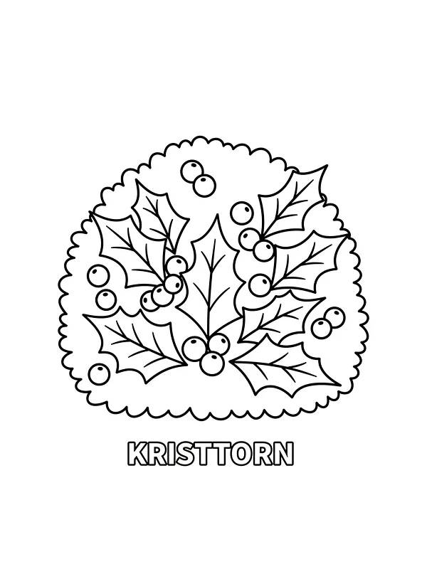 Kristtorn med bær