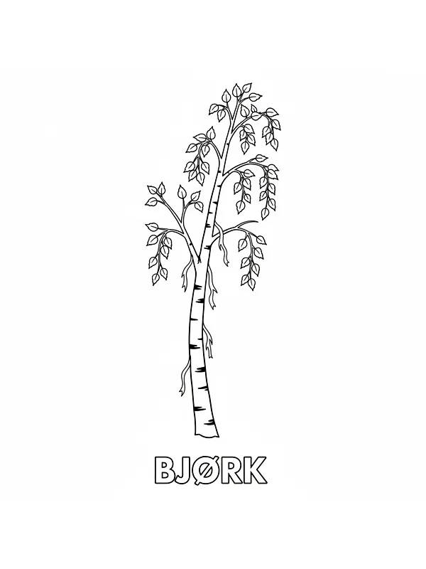 Bjørk med blader
