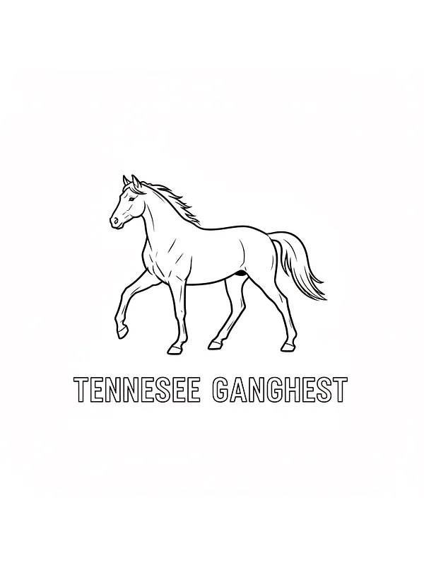 Tennessee ganghest i bevegelse, underkategori