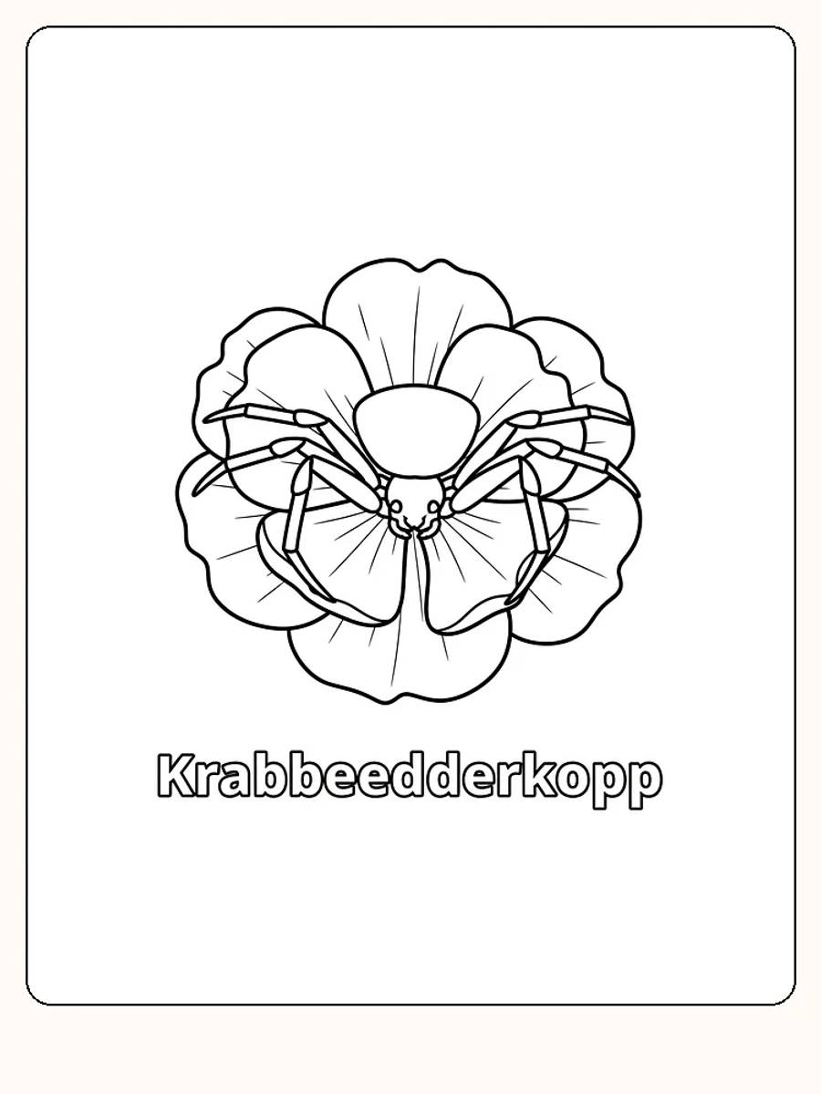 Tegning til farvelægning af krabbeedderkop, der sidder på en blomst, klar til print