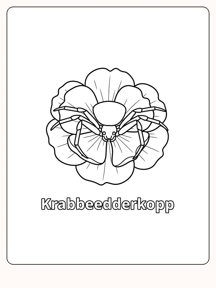 Tegning til farvelægning af krabbeedderkop, der sidder på en blomst, klar til print