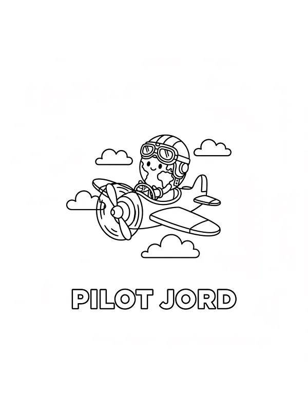 Pilot i fly