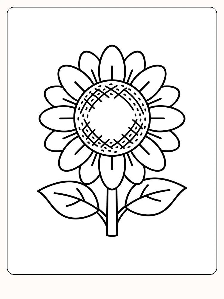 Stor solsikkeblomst sett rett forfra med tom rund midte, to kranser med kronblader, tykk stilk og to spisse blader nederst