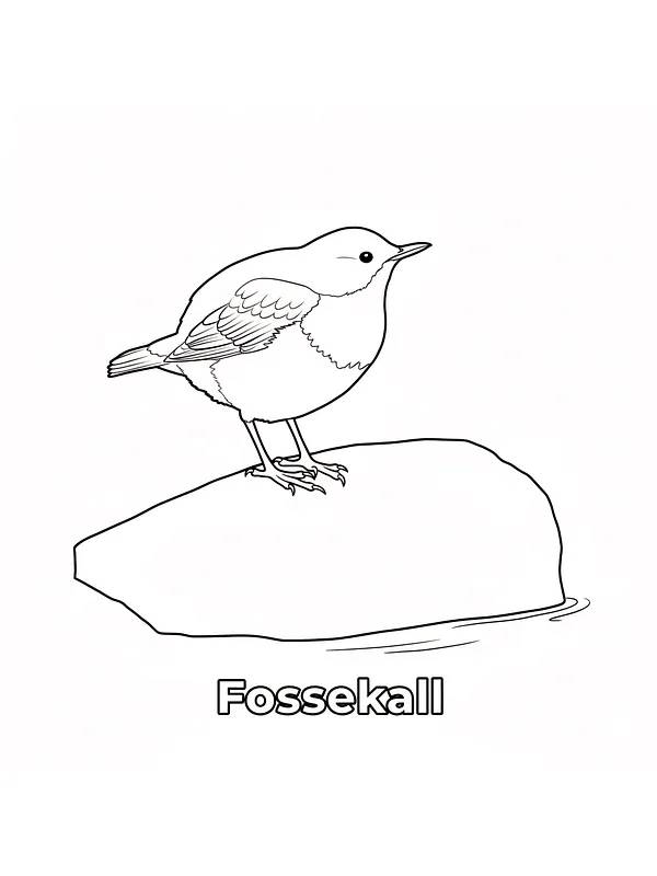 Fossekall på stein, underkategori
