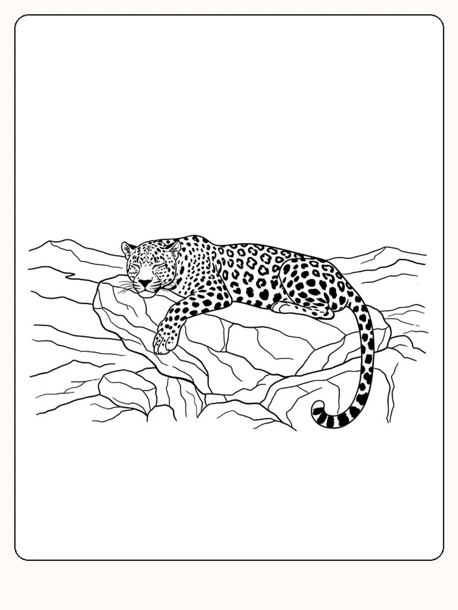 Fargeleggingstegning av leopard som ligger avslappet på klippe, klar for utskrift