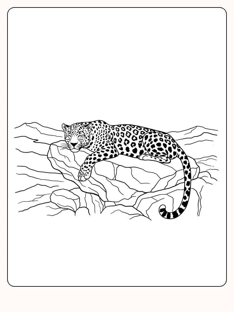 Fargeleggingstegning av leopard som ligger avslappet på klippe, klar for utskrift