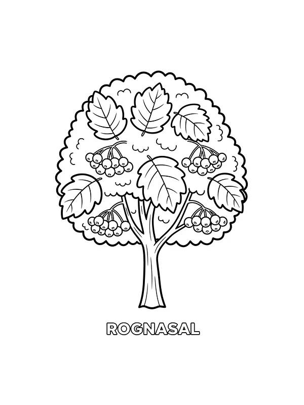 Rognasal tre