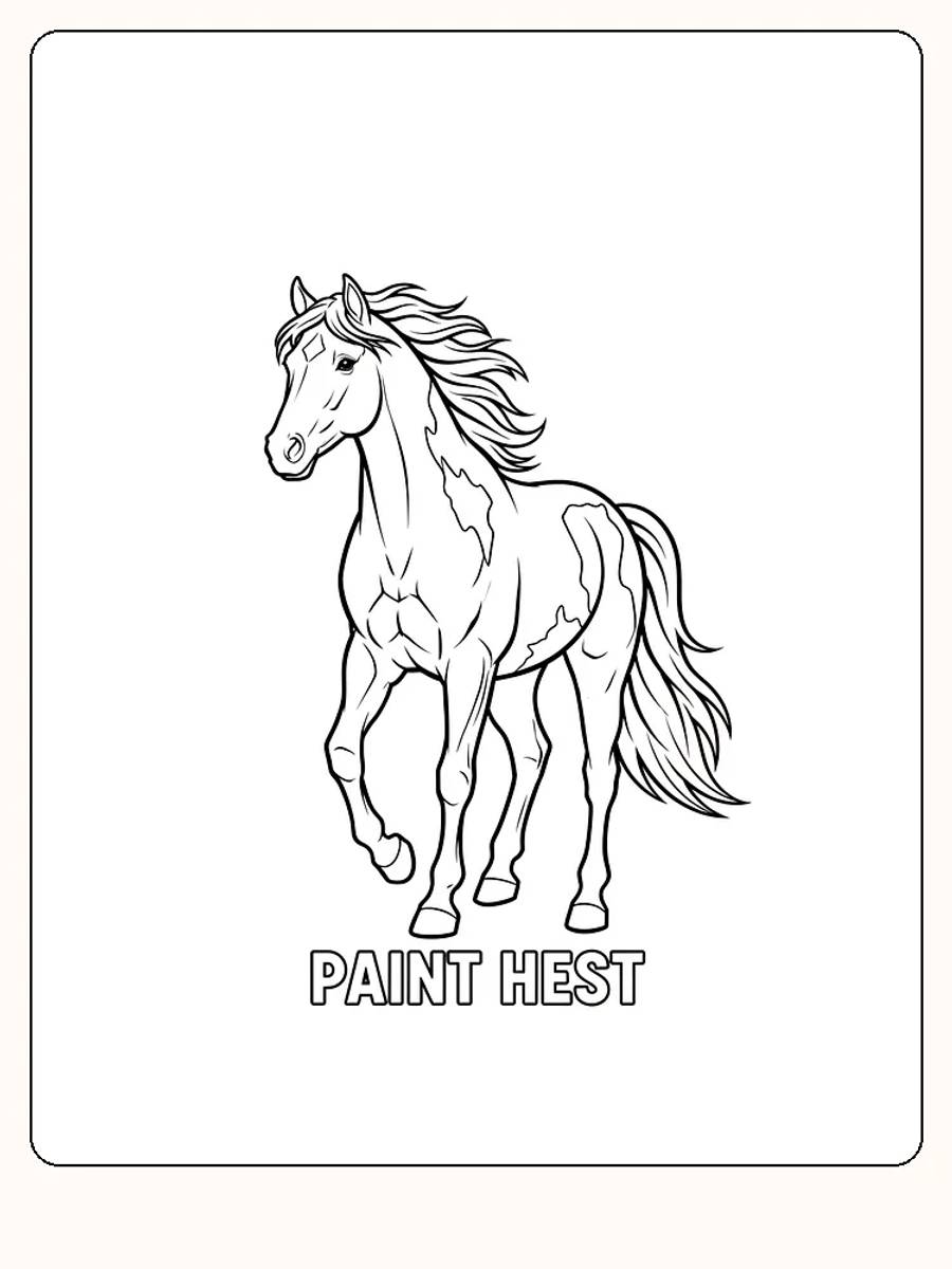 Fargeleggingstegning av en Paint hest i bevegelse med detaljert man og hale