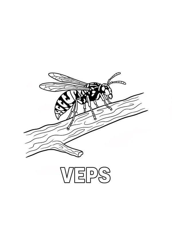 Hveps på gren, underkategori