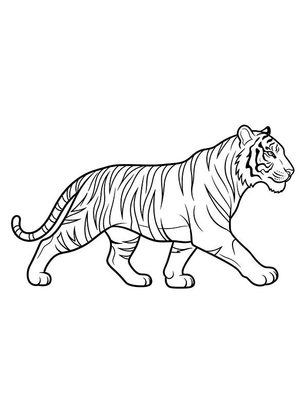 Tiger, der går, underkategori
