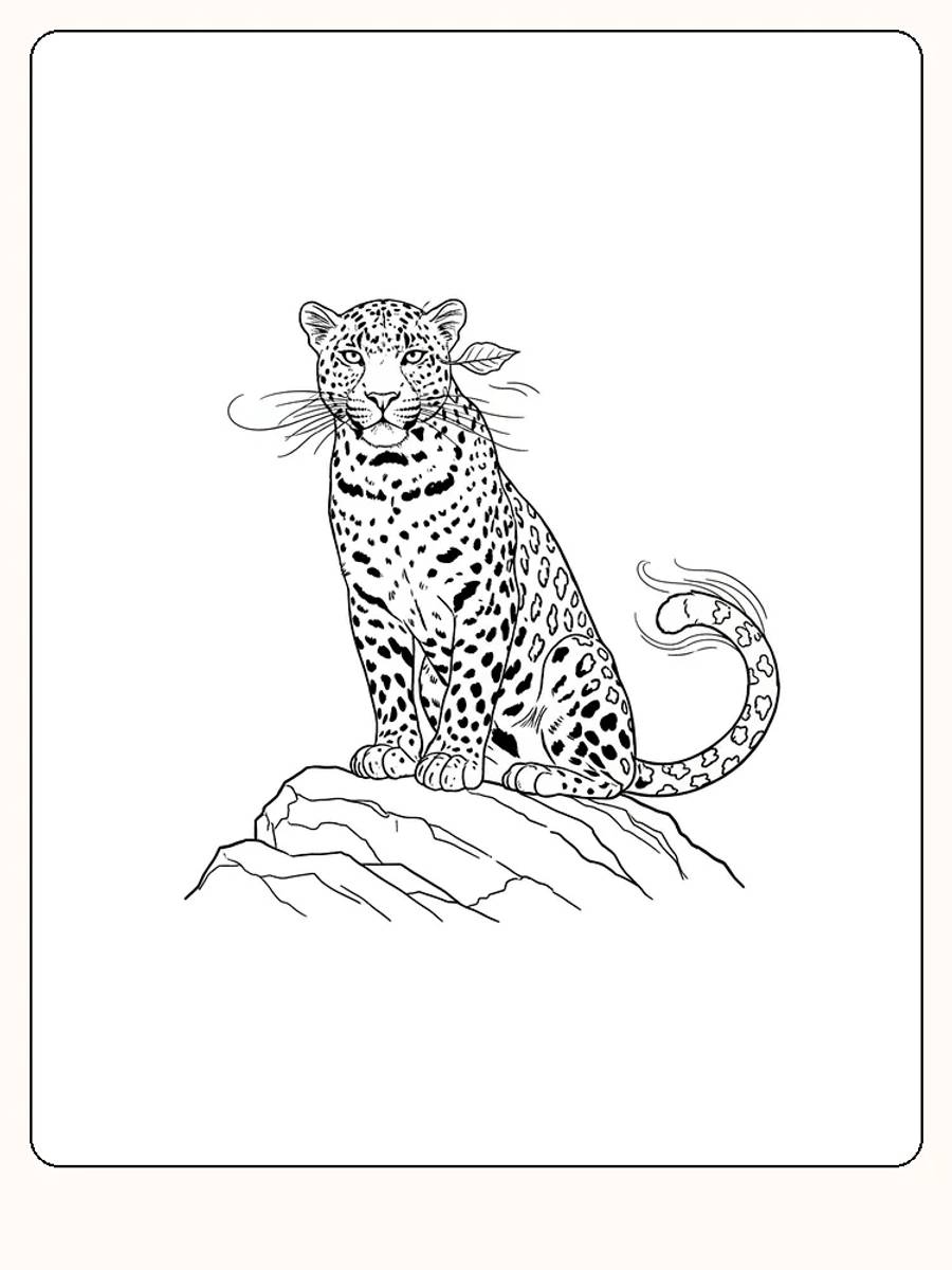 Fargeleggingstegning av en leopard som sitter på en klippe, klar for utskrift