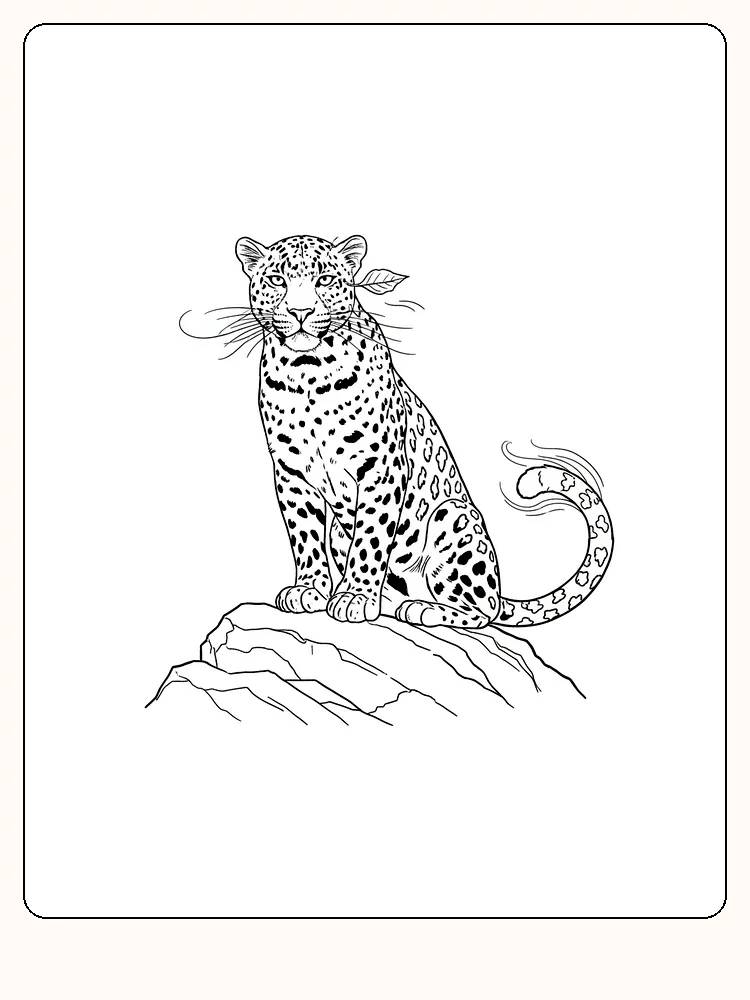 Fargeleggingstegning av en leopard som sitter på en klippe, klar for utskrift