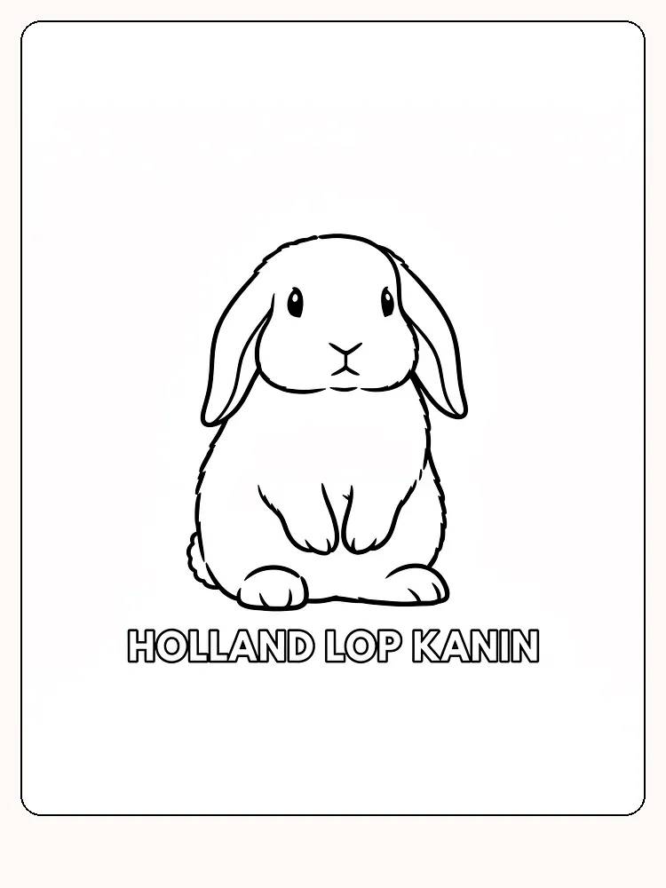 Fargeleggingstegning av en sittende Holland Lop kanin, perfekt for utskrift