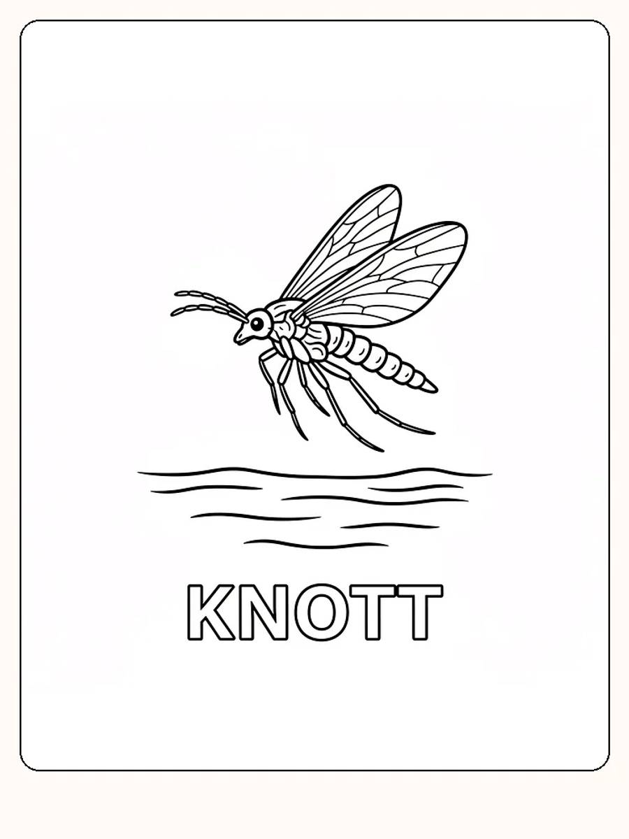 Tegning til farvelægning af en myg, der flyver over en vandoverflade, klar til print