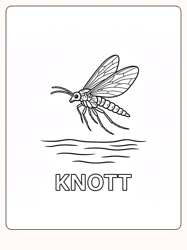 Tegning til farvelægning af en myg, der flyver over en vandoverflade, klar til print