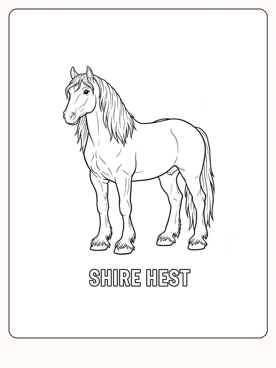 Detaljert tegning av en shire hest for nedlasting og fargelegging