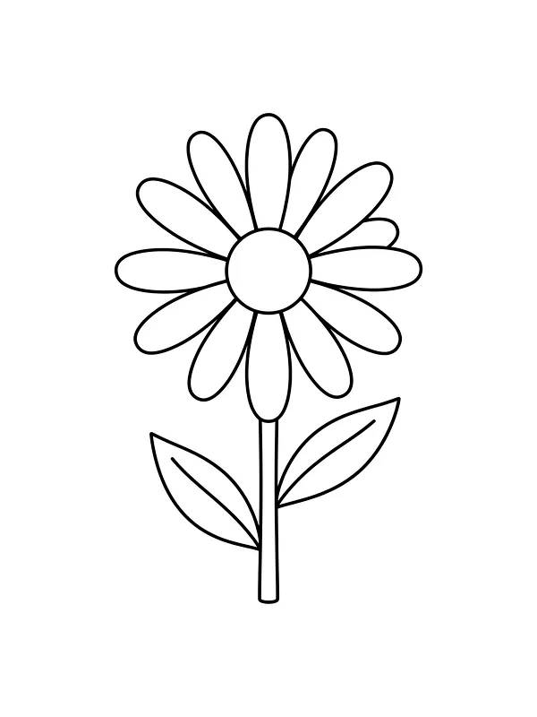 Prestekrageblomst med lange kronblader