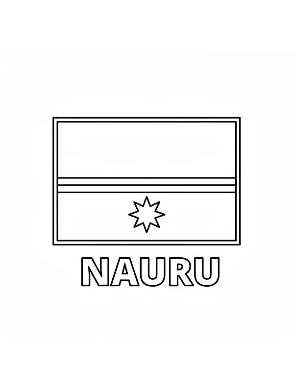 Naurus-Flagge, Unterkategorie