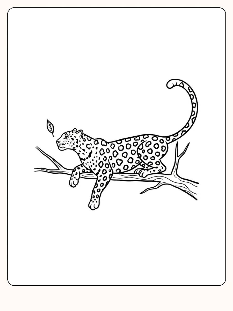 Fargeleggingstegning av leopard som ligger på trestamme, klar for utskrift