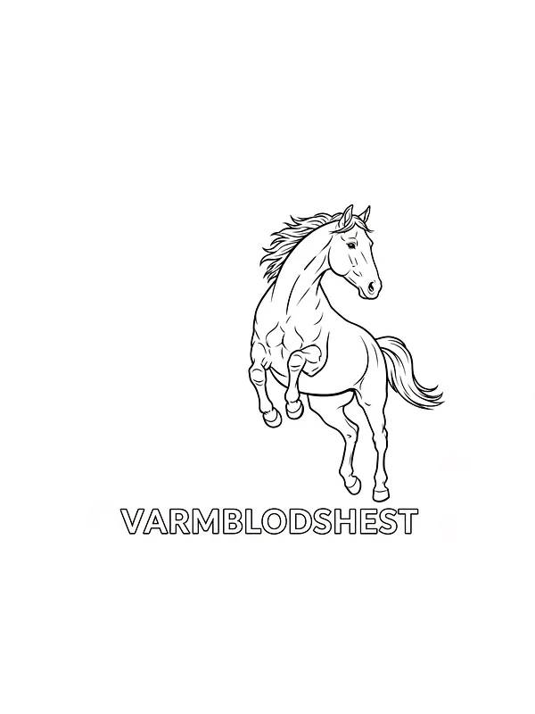 Hoppende varmblodshest, underkategori