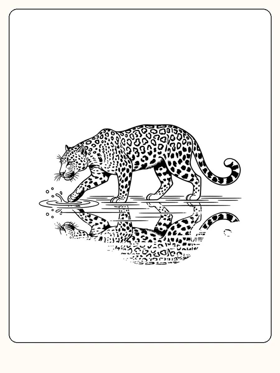 Fargeleggingstegning av en leopard som drikker vann, perfekt for utskrift