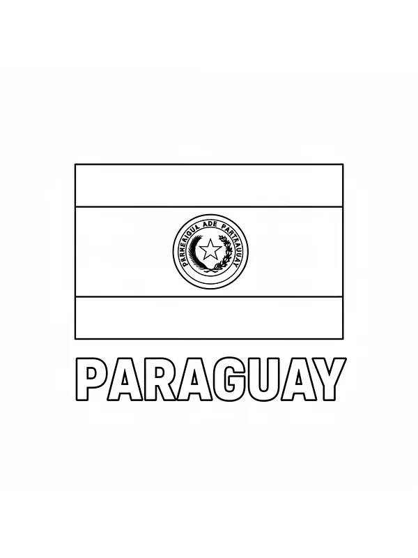 Paraguays Flagge, Unterkategorie