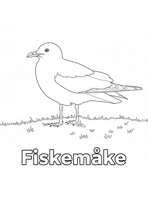 Fiskemåke står i gress, underkategori