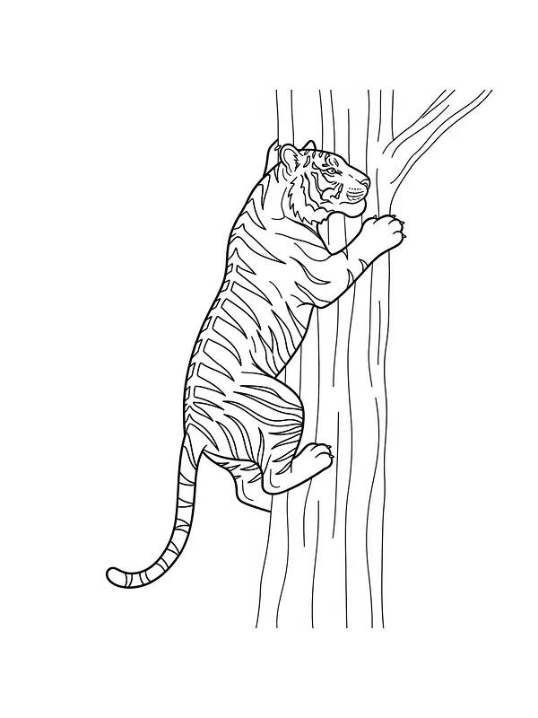 Tiger klatrer i et træ, underkategori