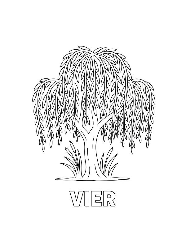 Vier tre