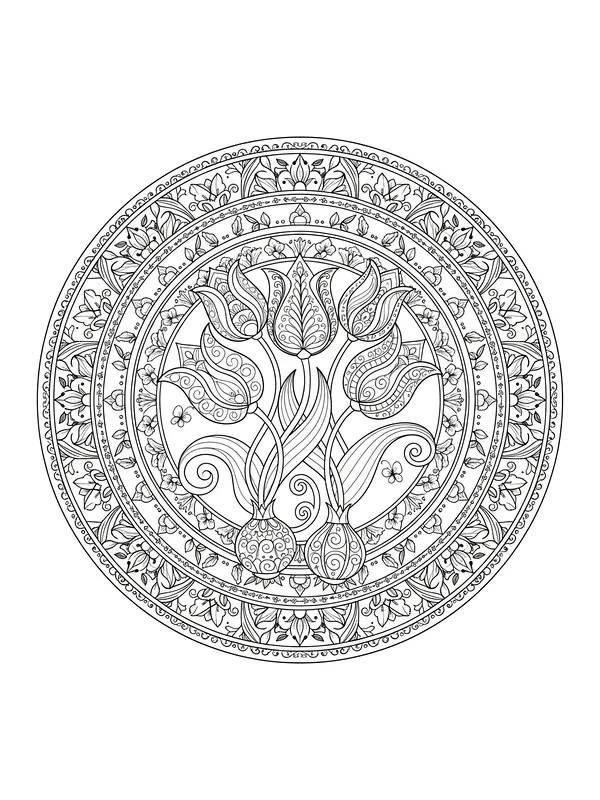 Detaillierte Mandala mit Blumen, Unterkategorie