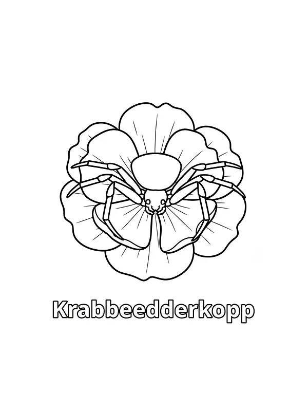 Krabbeedderkop på blomst, underkategori