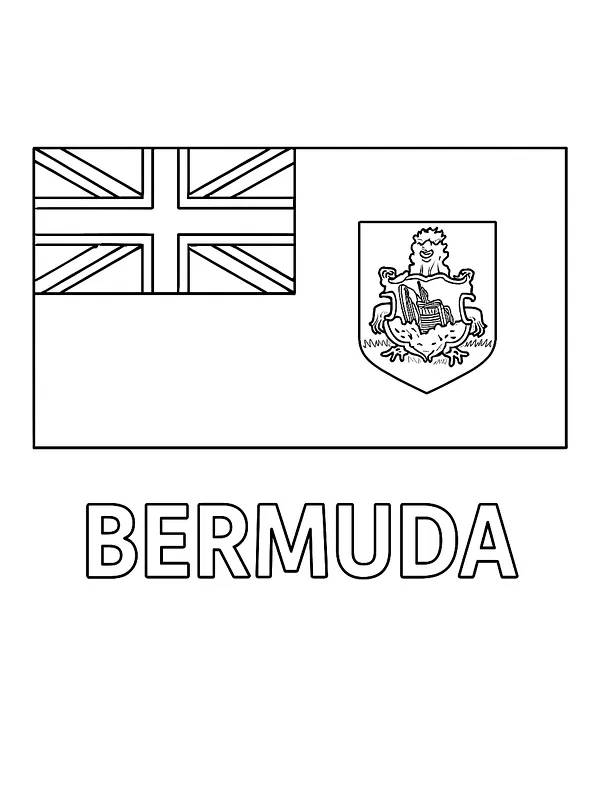 Bermudas Flagge, Unterkategorie