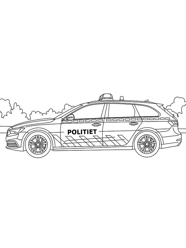 Politibil i profil, underkategori