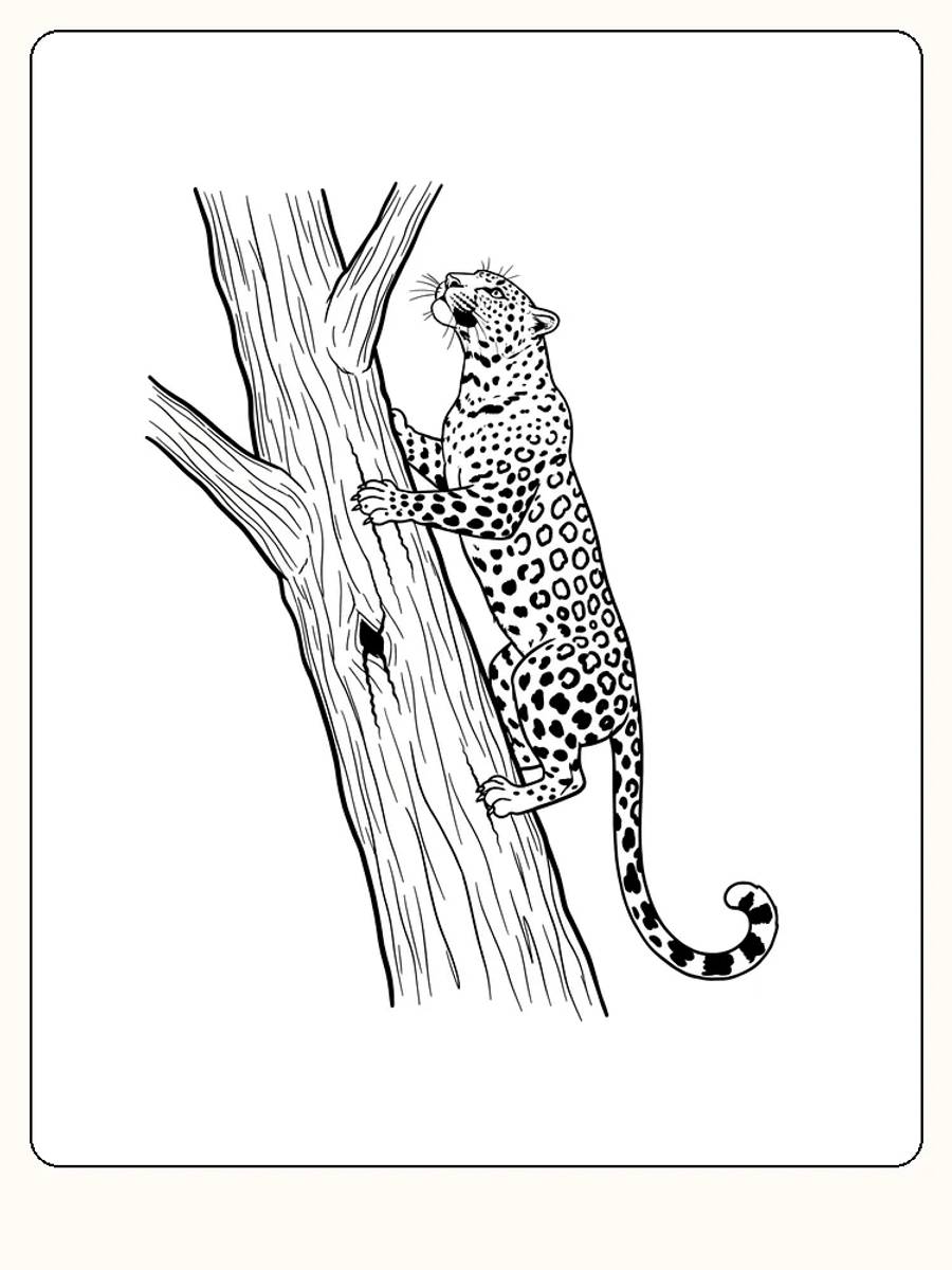 Fargeleggingstegning av leopard som klatrer i et tre, klar for utskrift