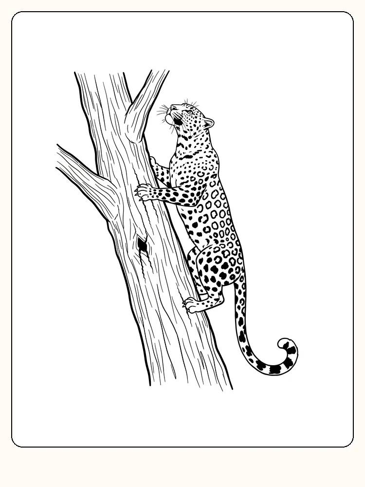 Fargeleggingstegning av leopard som klatrer i et tre, klar for utskrift