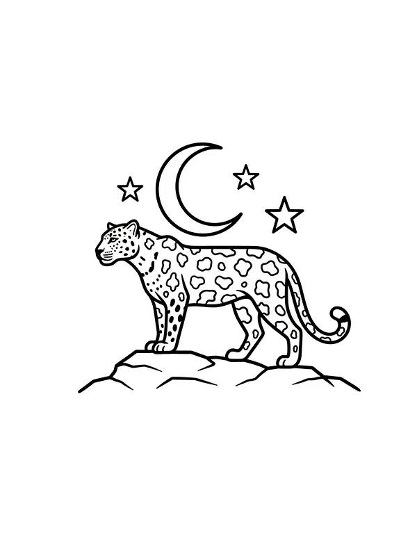Leopard under nattehimmel, underkategori