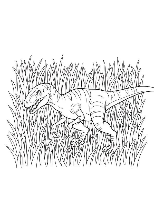 Raptor i gress, underkategori