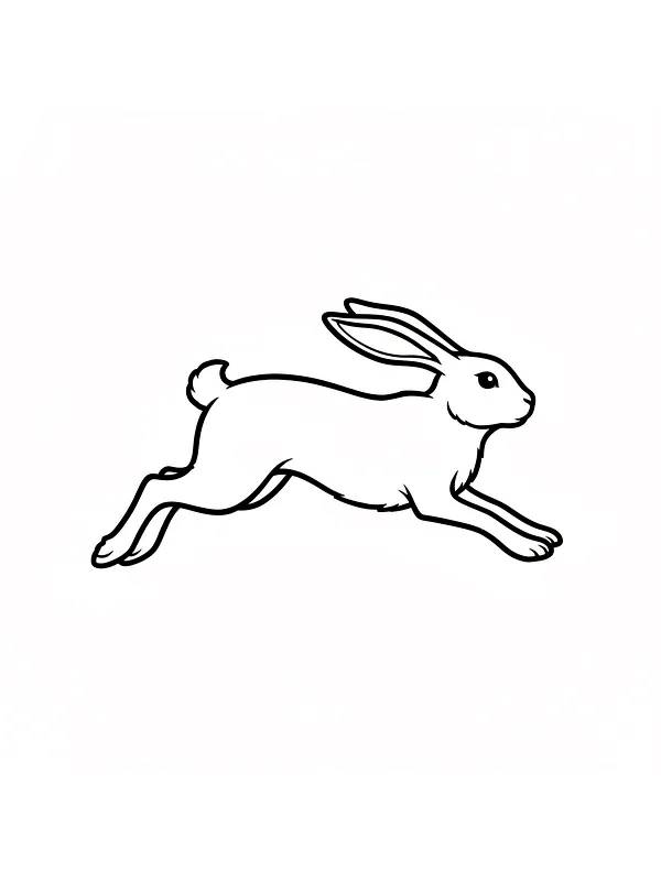 Hoppende hare
