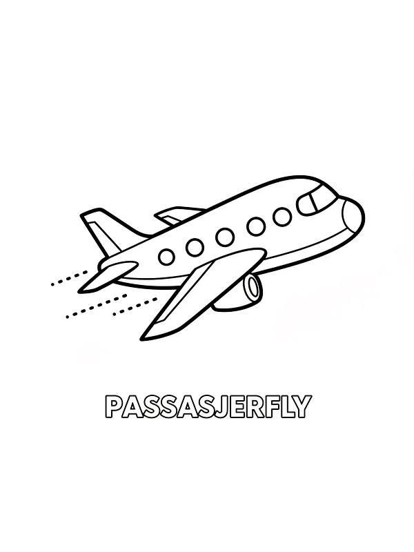 Passagerarflygplan i luften, underkategori