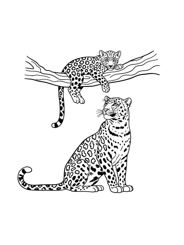Leopard med unge på gren, underkategori
